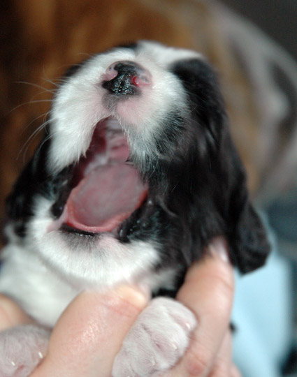 15_4_1e
