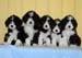 all8