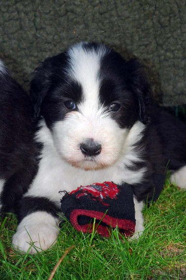 DSC_0057