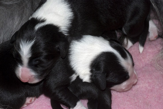 DSC_0086