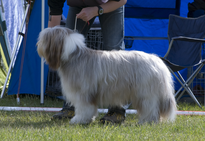 DSC_0093