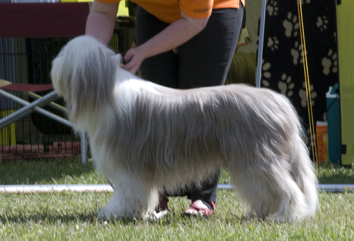 DSC_0172
