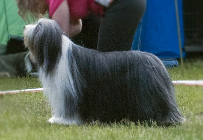 DSC_0251