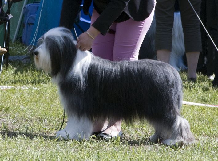 DSC_0323