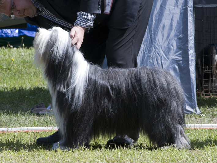 DSC_0329