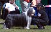 DSC_0211