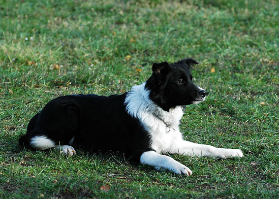 DSC_0191