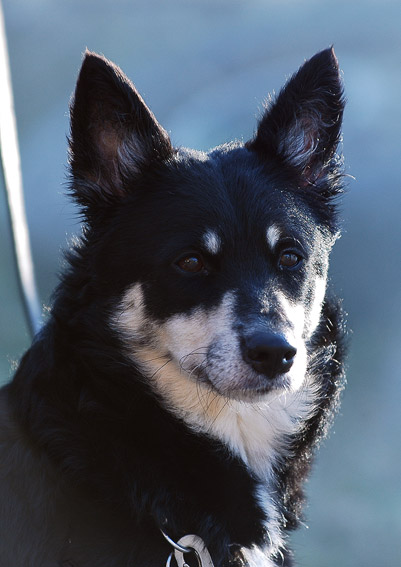 DSC_0430