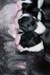 DSC_0127