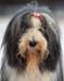 DSC_0122