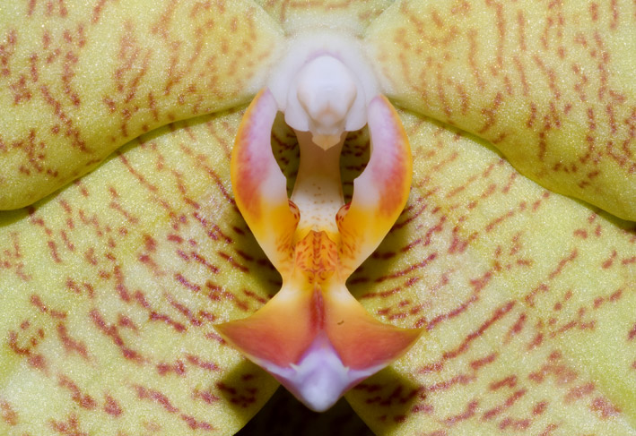 DSC_0017