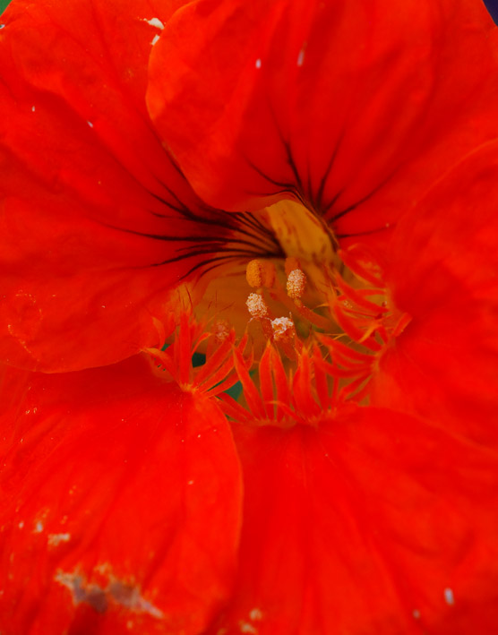 DSC_0033