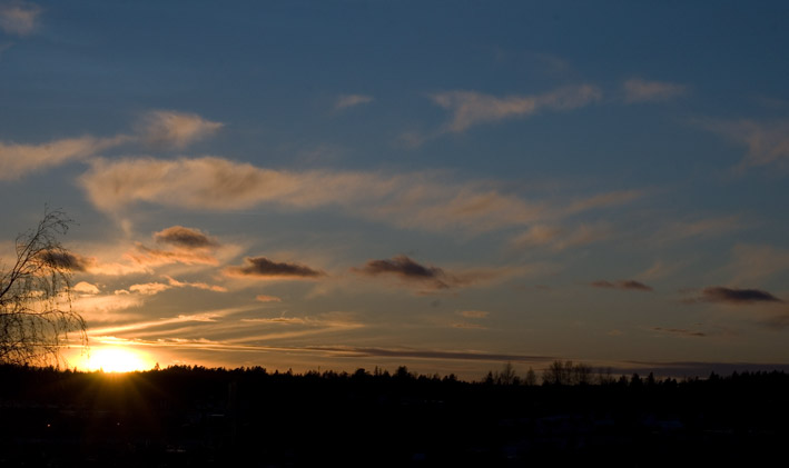 DSC_0071