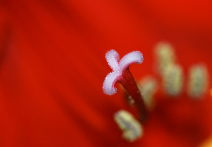 DSC_0078
