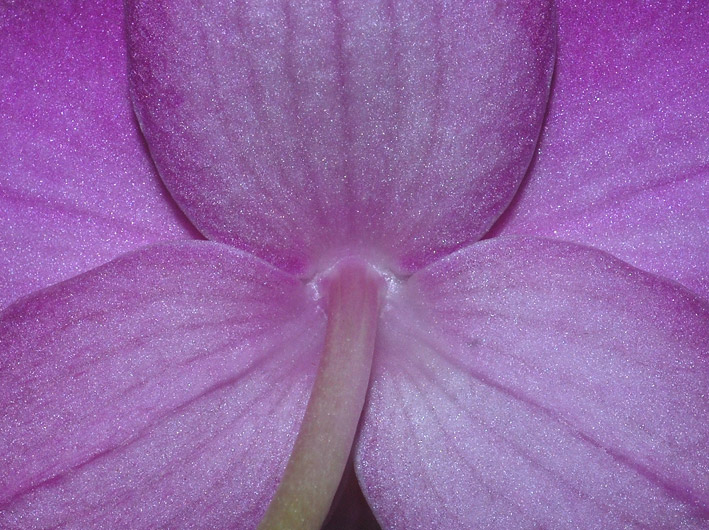 DSC_0200