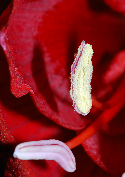 DSC_0225