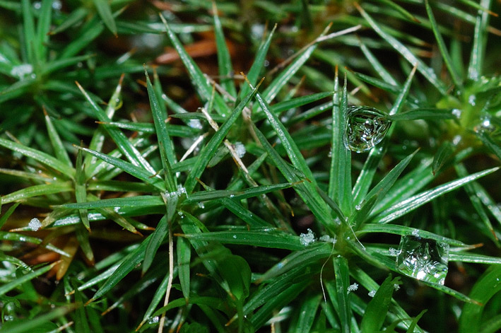 DSC_0135