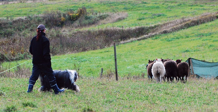 DSC_0053