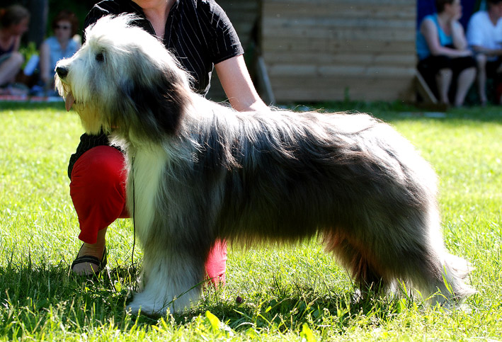 DSC_0052_hm_vsp_pentu