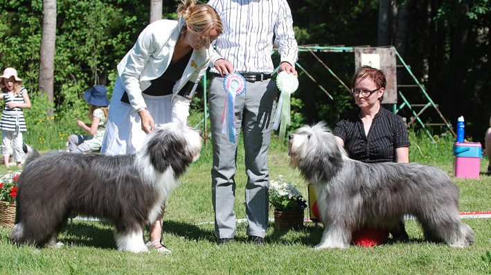 DSC_0055_rp_vsp_paatontuoma