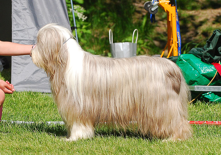 DSC_0093_jk_72