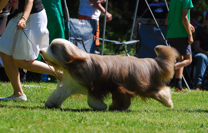 DSC_0248_jk_pu2