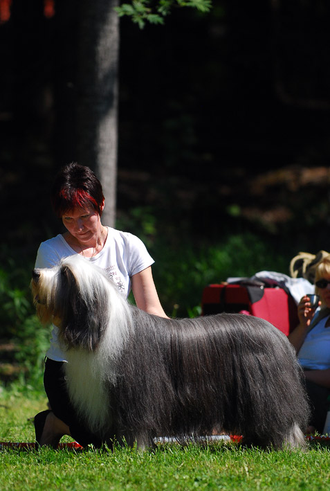 DSC_0297_jk_49