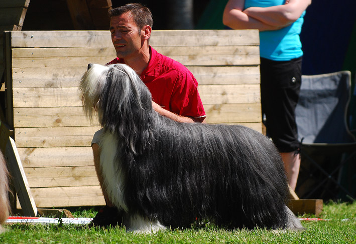 DSC_0335_jk_36
