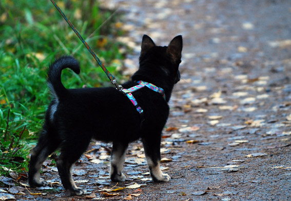 DSC_0134