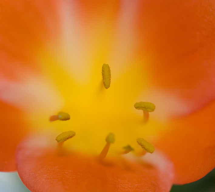 DSC_0111