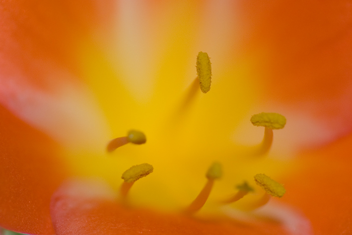 DSC_0114-2