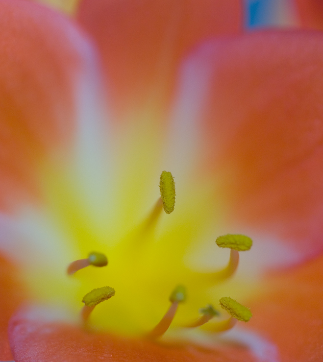 DSC_0114