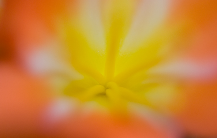 DSC_0119