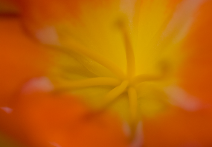 DSC_0137