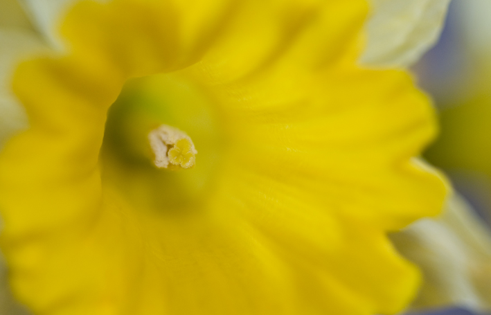 DSC_0112