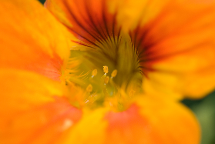 DSC_0266