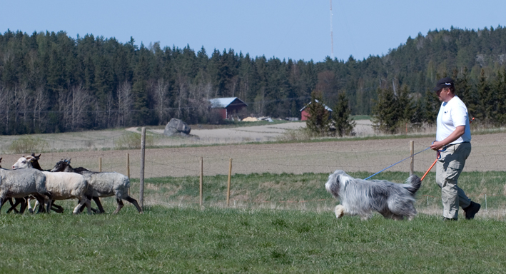 DSC_0486