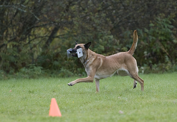 DSC_0188