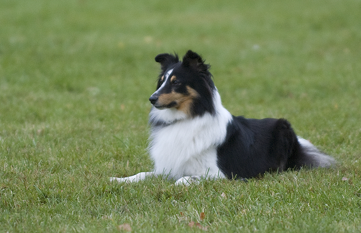 DSC_0299