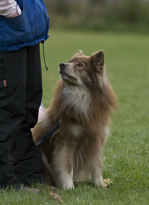 DSC_0528