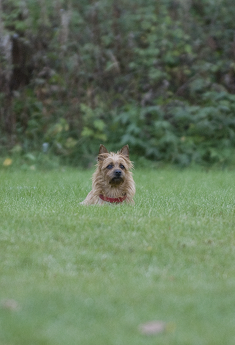 DSC_0555