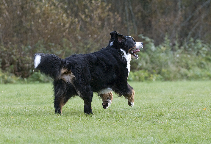 DSC_0738