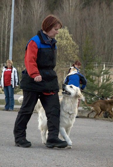 DSC_0176_veikka