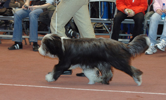 DSC_0234roppentu