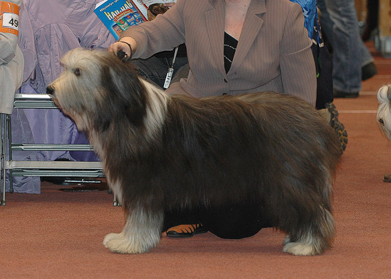 DSC_0244oldbear