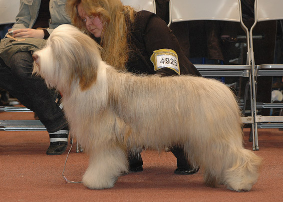 DSC_0247tomi