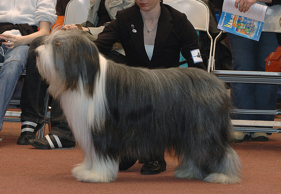DSC_0275kingi