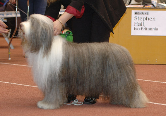 DSC_0281tex