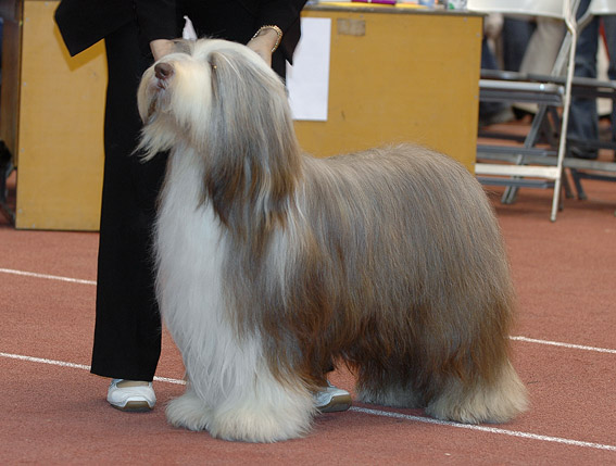 DSC_0284uno