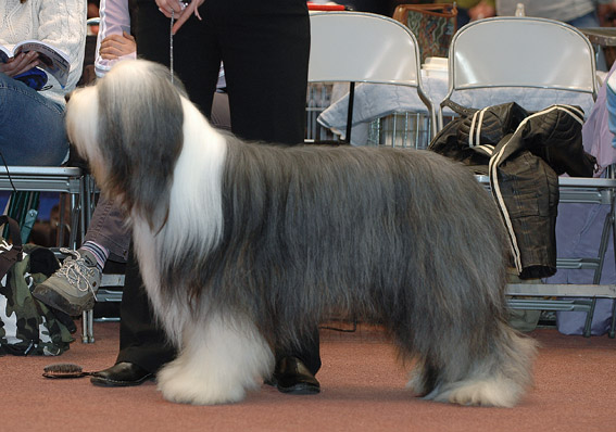 DSC_0293haikka